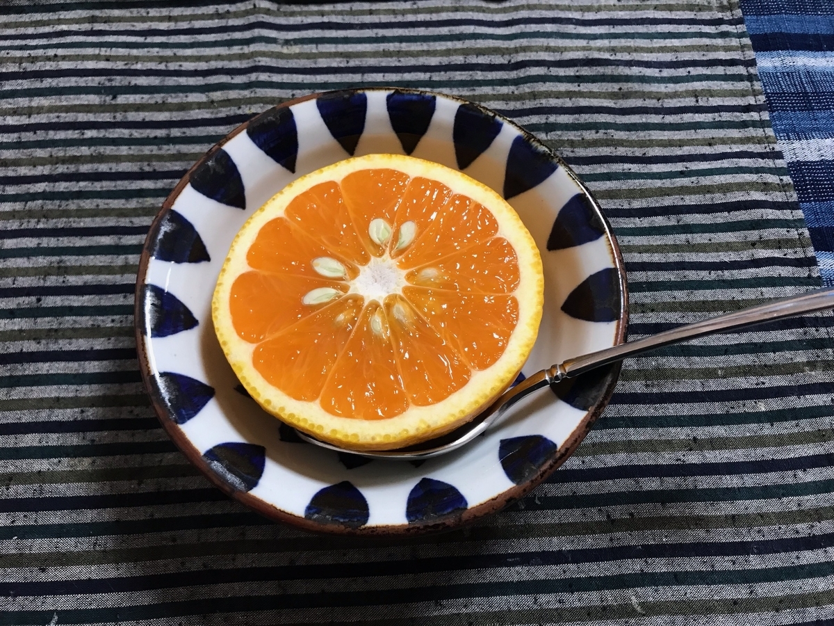 市木オレンジ 三重県の伝統食材10 みんなの笑顔が三重 みえ てくる Jima T S Diary
