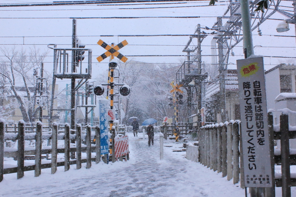 f:id:Jimba:20180122215612j:plain