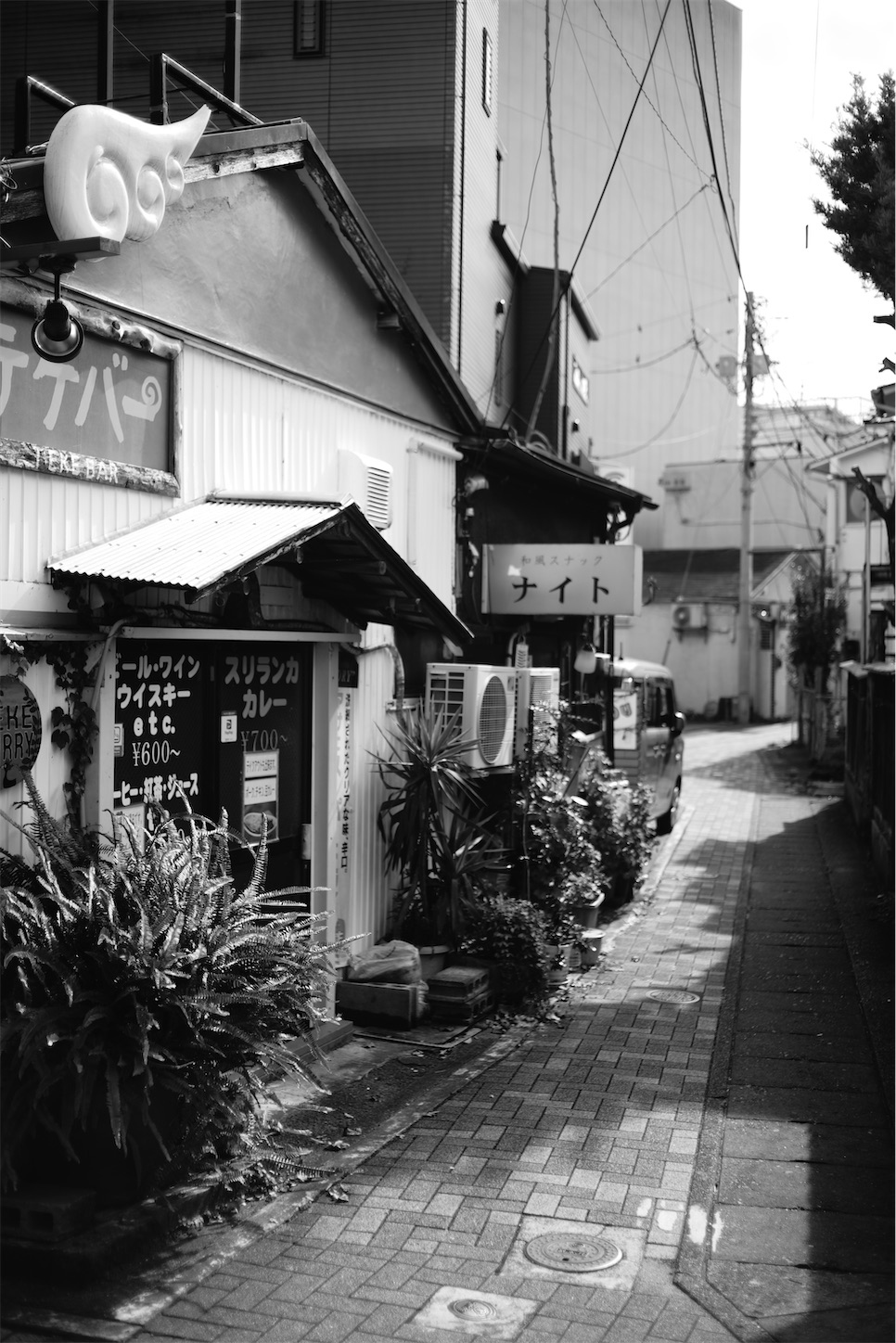 f:id:JimmyMaruyama:20220912164541j:image