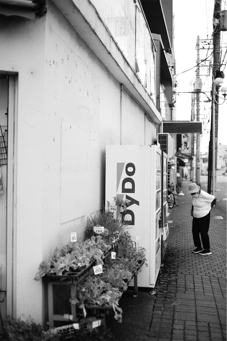 f:id:JimmyMaruyama:20220912164629j:image
