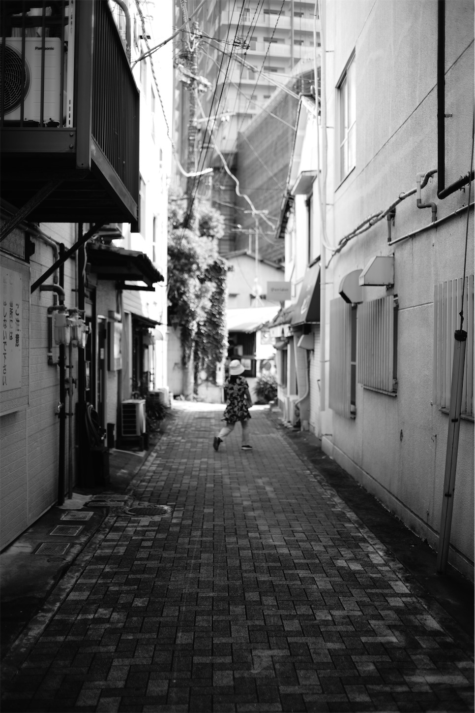 f:id:JimmyMaruyama:20220912164701j:image