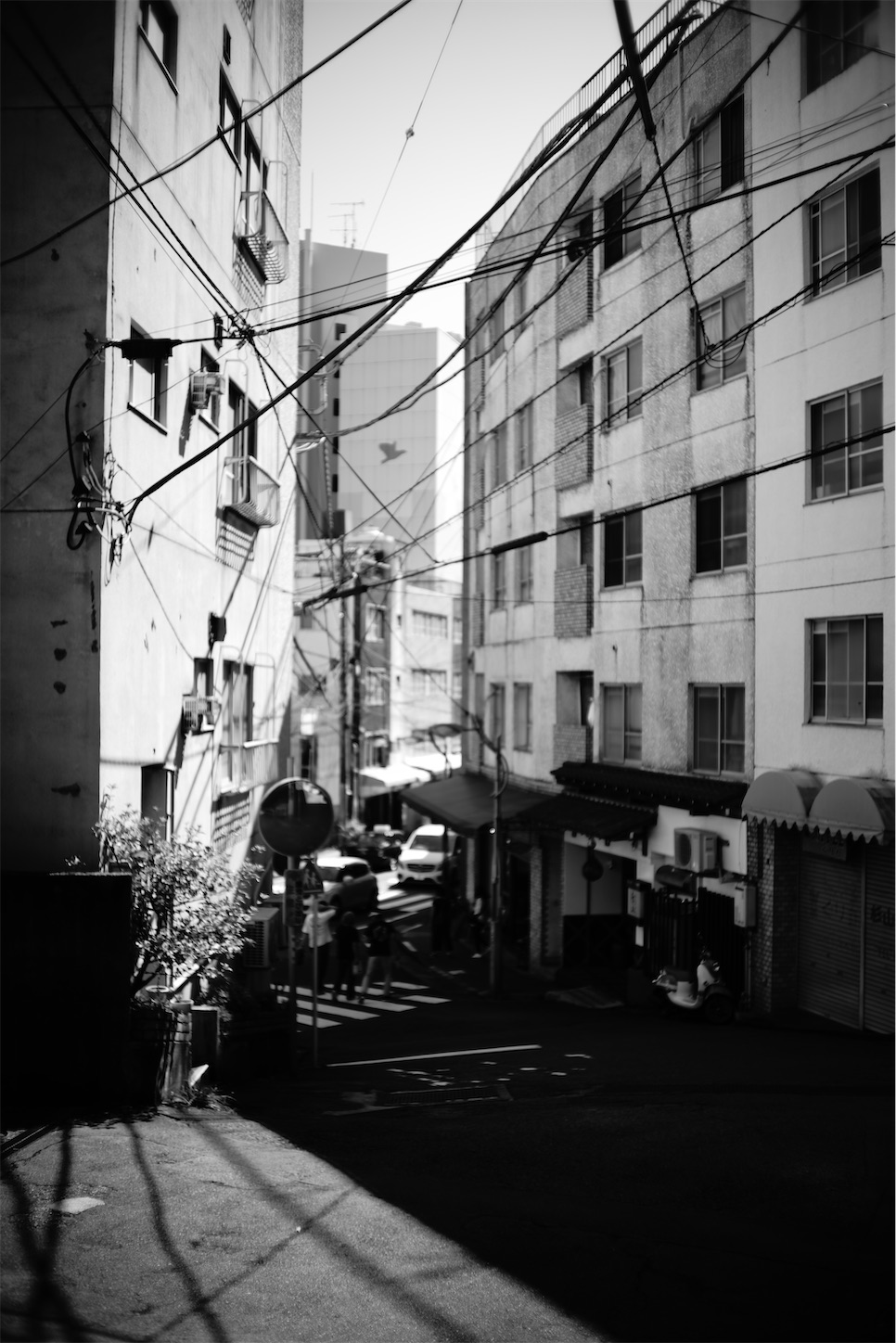 f:id:JimmyMaruyama:20220928130818j:image