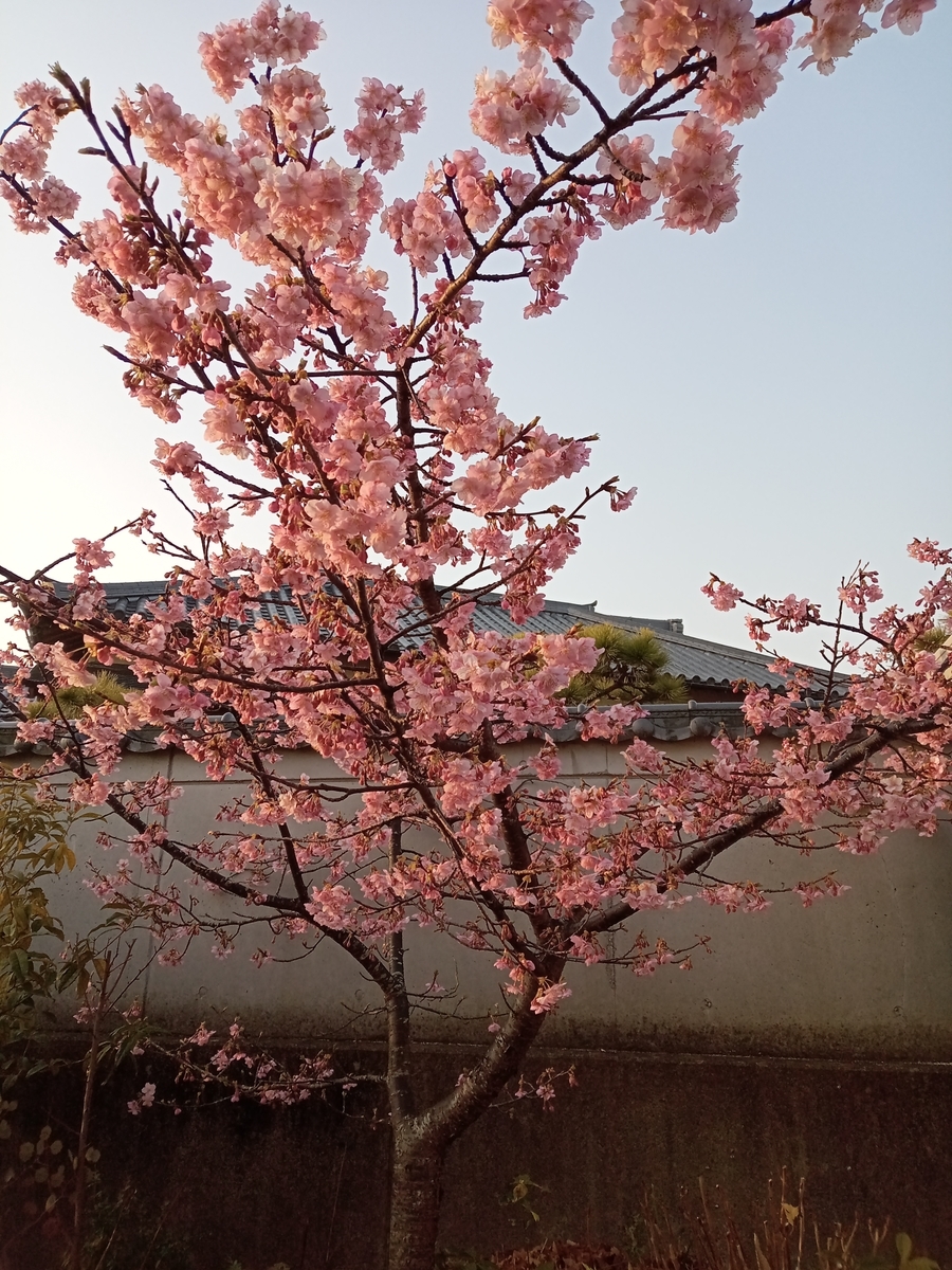 f:id:JinseiOmoshiroku69:20220302072907j:plain