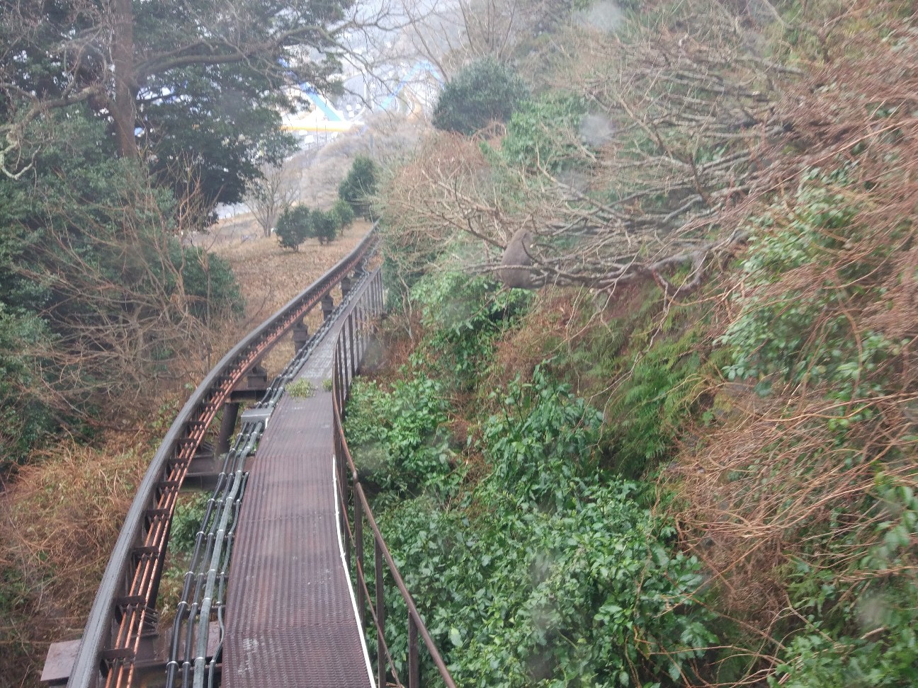 f:id:Jinseiyoyoyo:20180219174700j:image