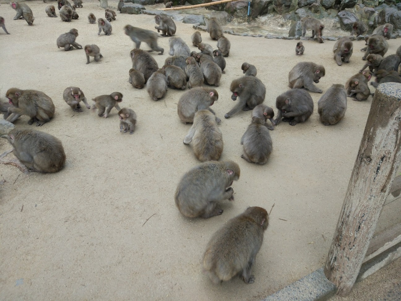 f:id:Jinseiyoyoyo:20180219174857j:image