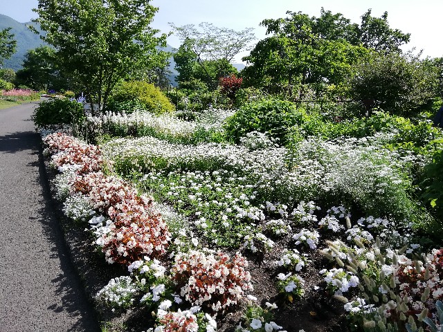 f:id:Jinseiyoyoyo:20200607181514j:image