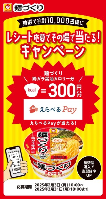 f:id:Jinseiyoyoyo:20250214173520j:image