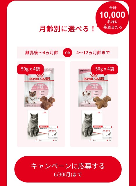 f:id:Jinseiyoyoyo:20250528010538j:image