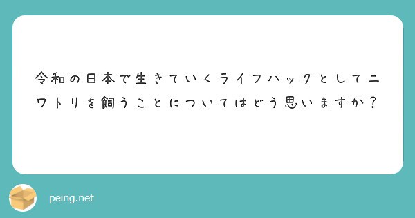 f:id:Jinseiyoyoyo:20250606024123j:image