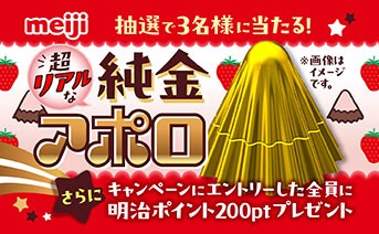 f:id:Jinseiyoyoyo:20250614233910j:image