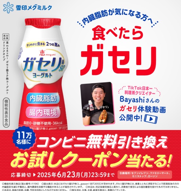 f:id:Jinseiyoyoyo:20250621042206j:image