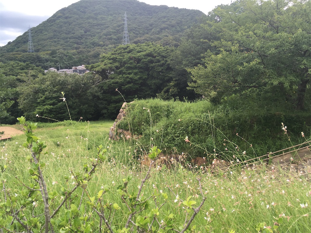 f:id:Jiris:20211231014742j:image