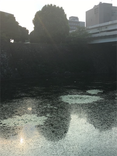 f:id:Jirotan8:20160813201051j:image