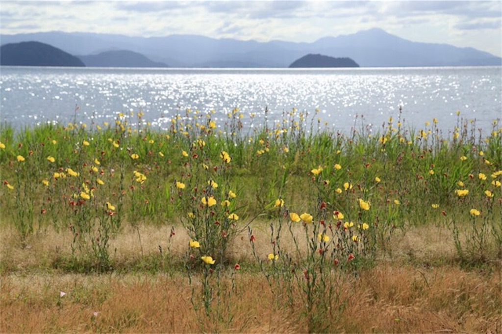 f:id:Jiroviolet:20170607073530j:image