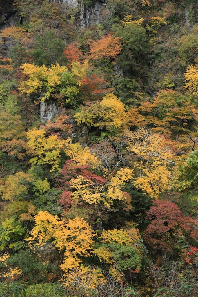 f:id:Jiroviolet:20171106194219j:image