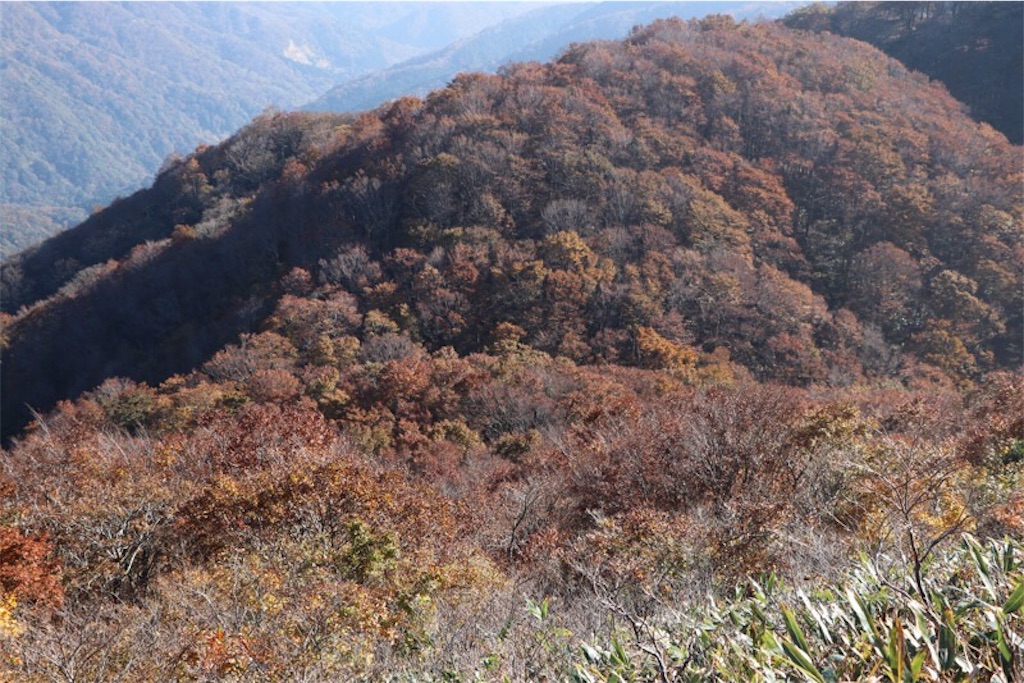f:id:Jiroviolet:20171108130156j:image