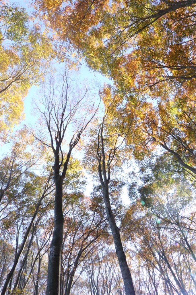 f:id:Jiroviolet:20171108130333j:image