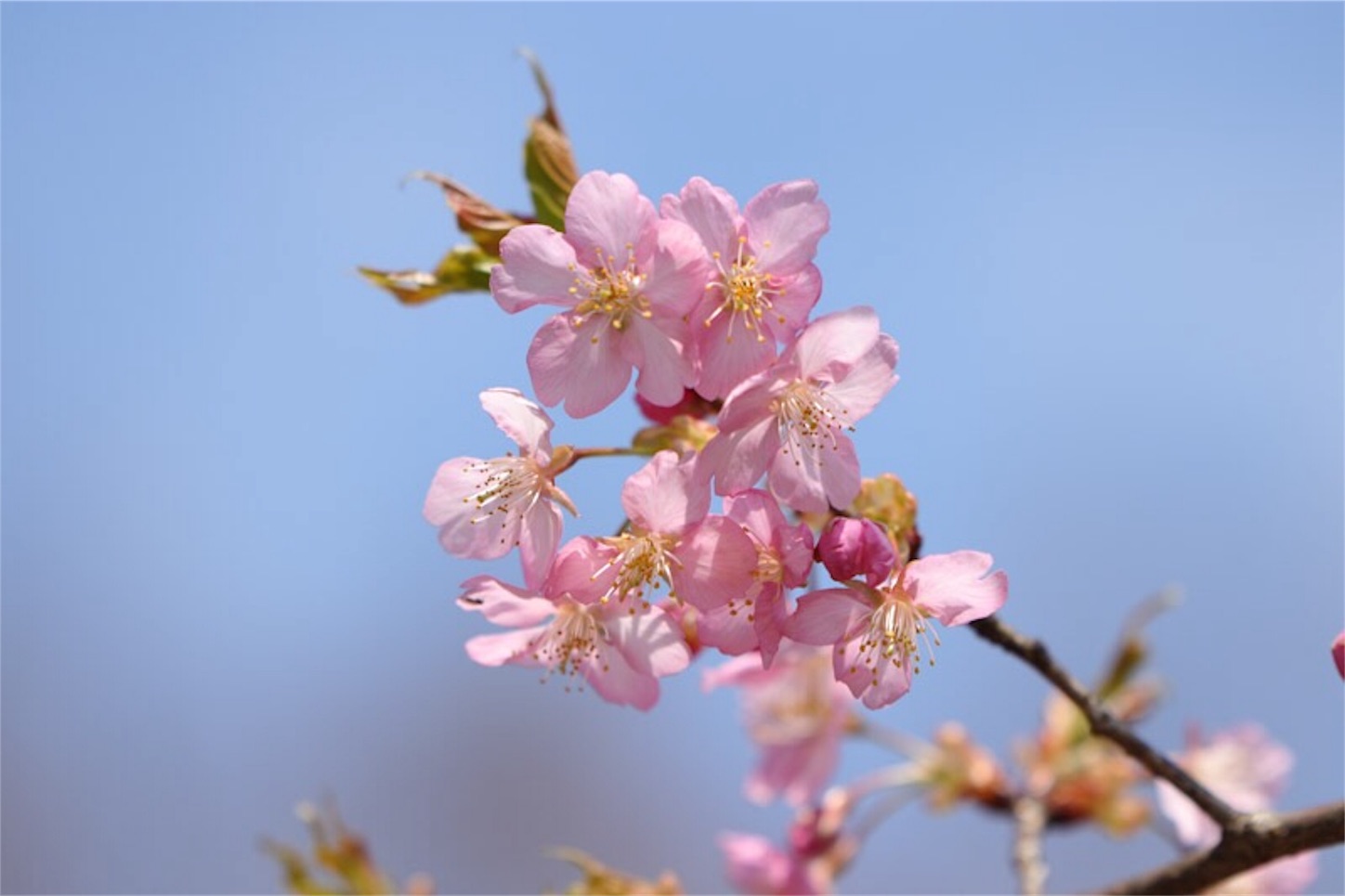f:id:Jiroviolet:20180315214621j:image f:id:Jiroviolet:20180315214621j:image