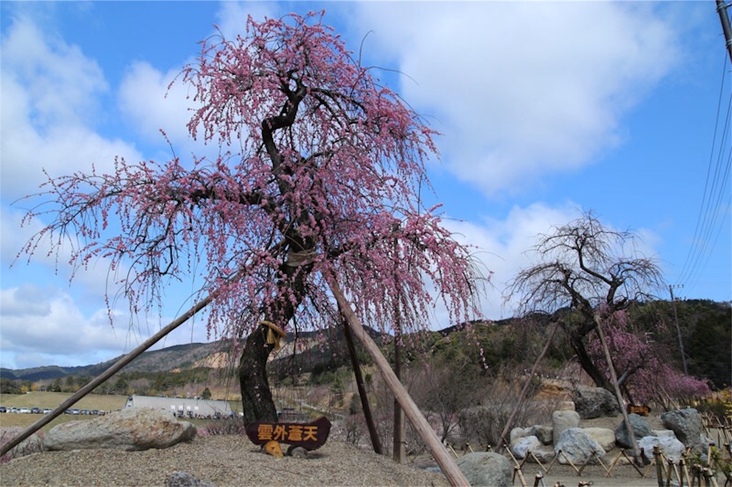 f:id:Jiroviolet:20180324220235j:image