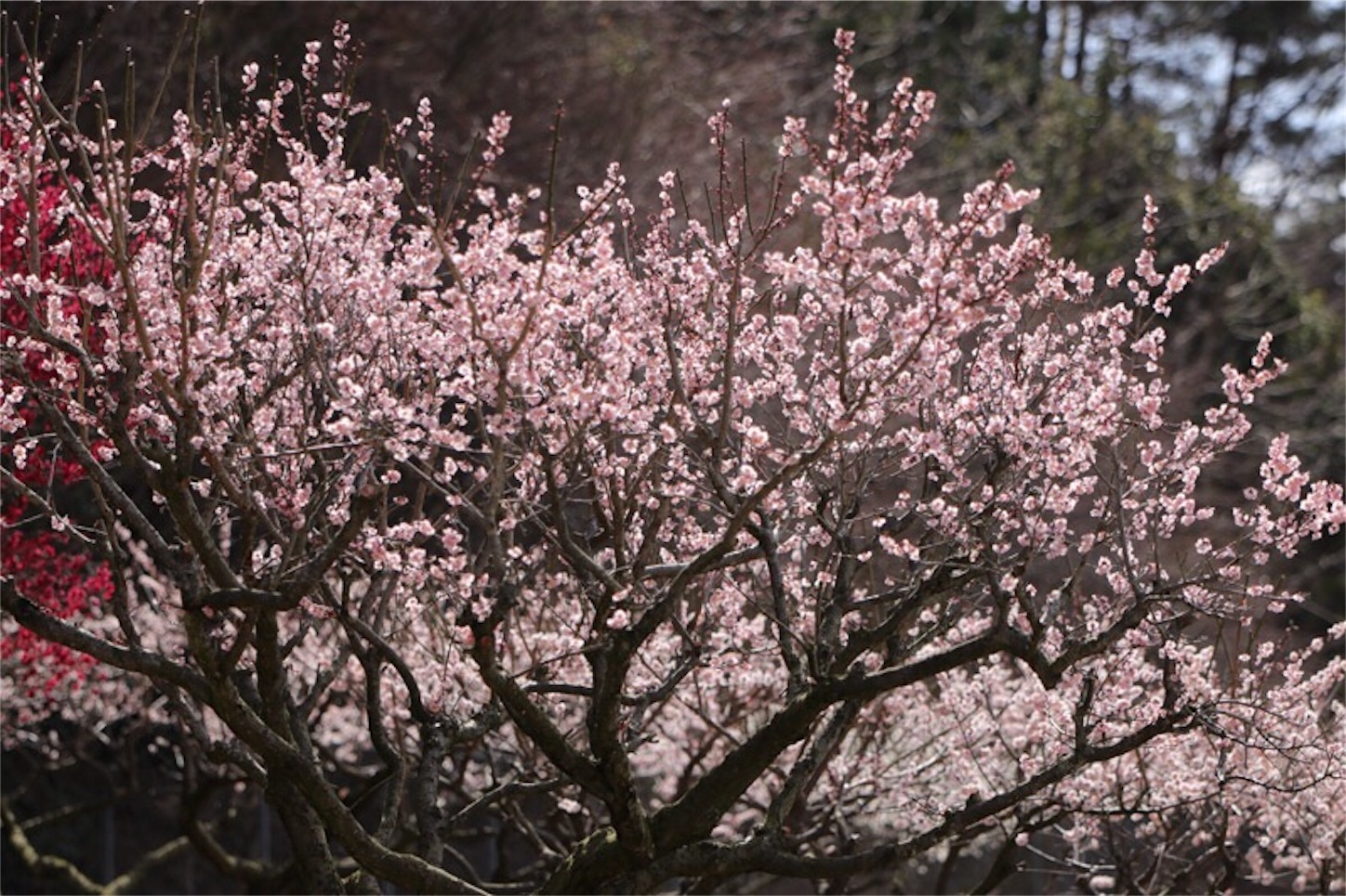 f:id:Jiroviolet:20180324221433j:image
