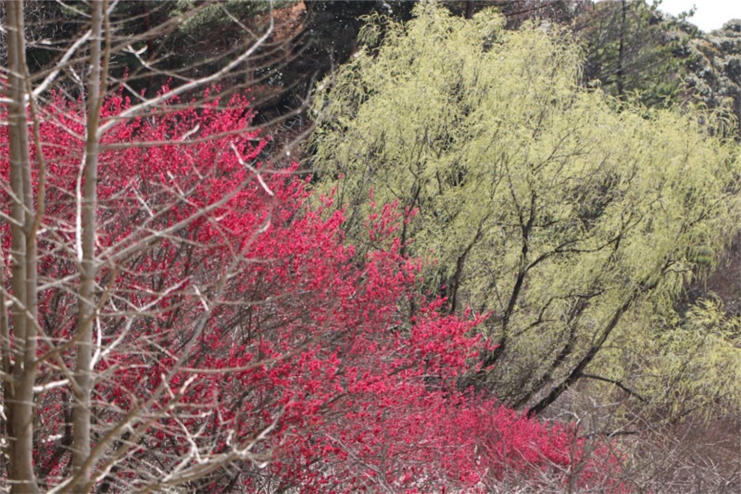 f:id:Jiroviolet:20180324221613j:image