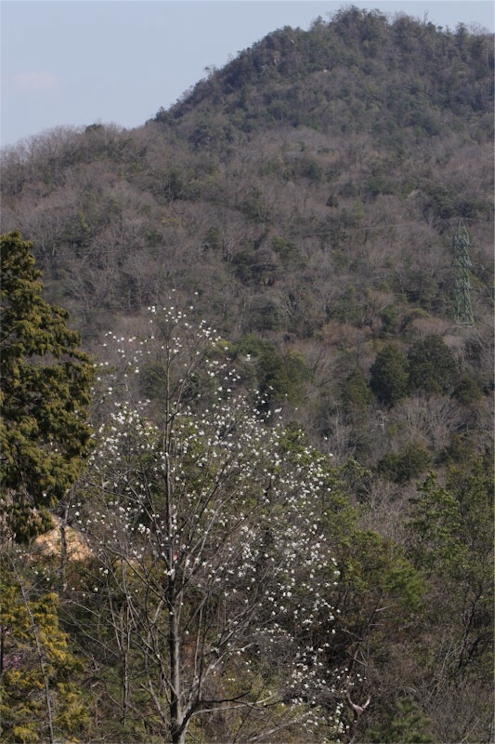 f:id:Jiroviolet:20180402213735j:image