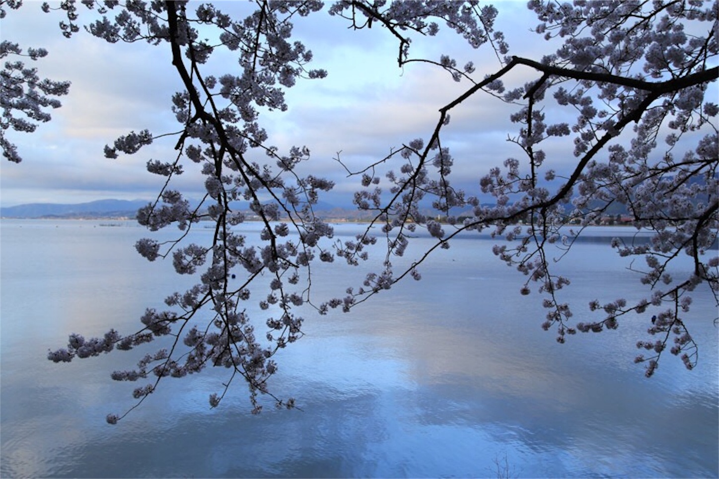 f:id:Jiroviolet:20180406214656j:image