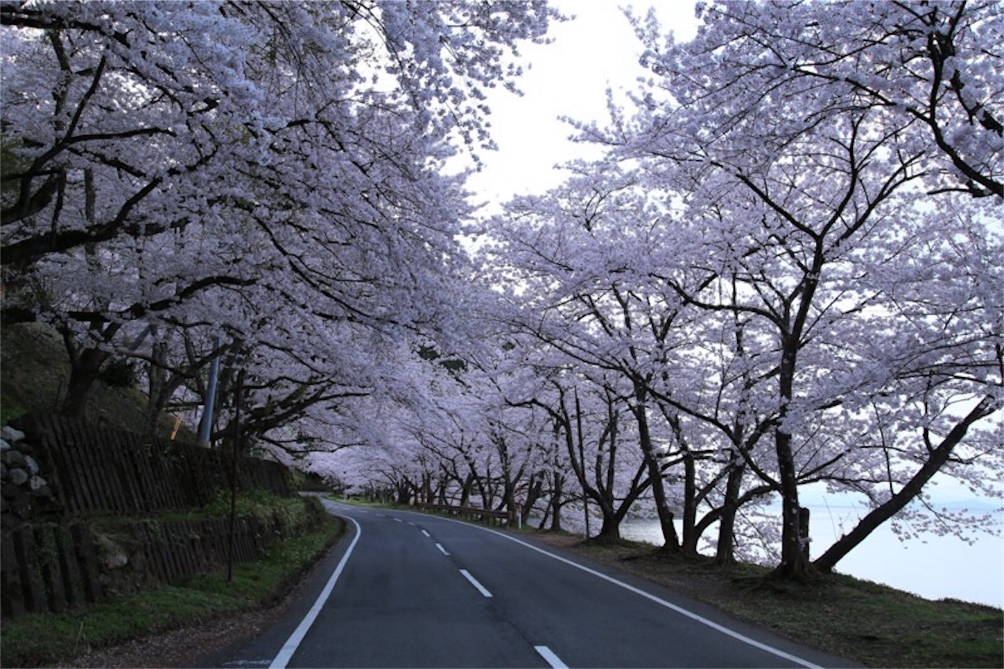 f:id:Jiroviolet:20180406214720j:image