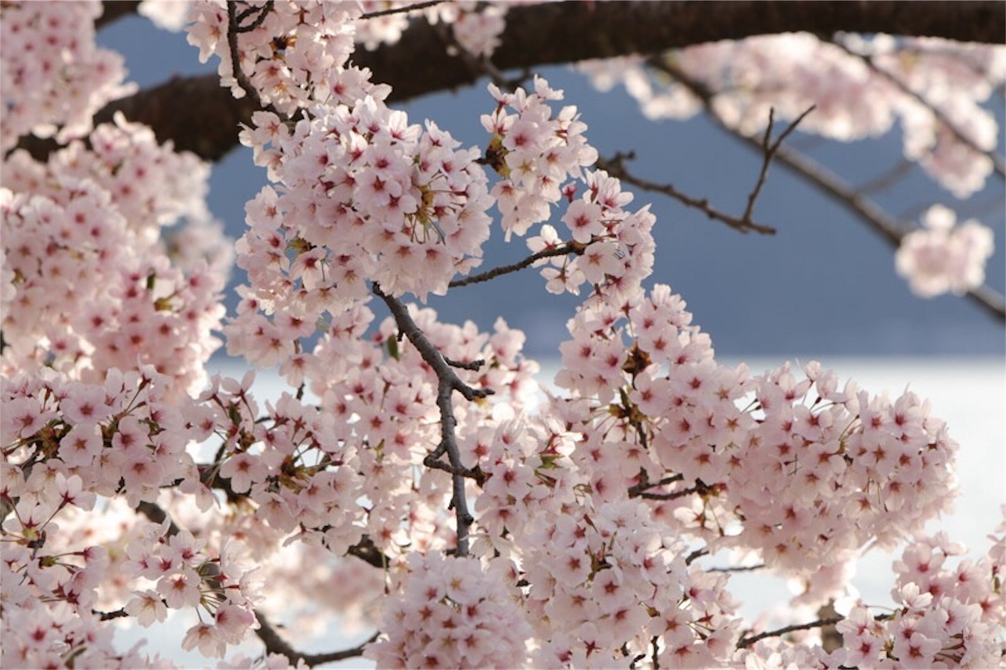 f:id:Jiroviolet:20180406214737j:image