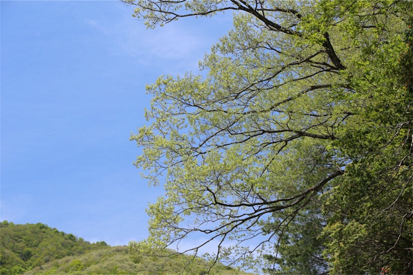 f:id:Jiroviolet:20180427190202j:image