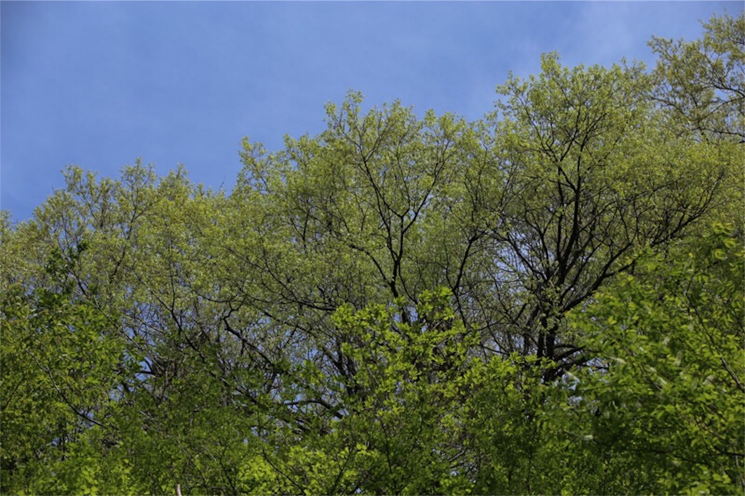 f:id:Jiroviolet:20180427190607j:image