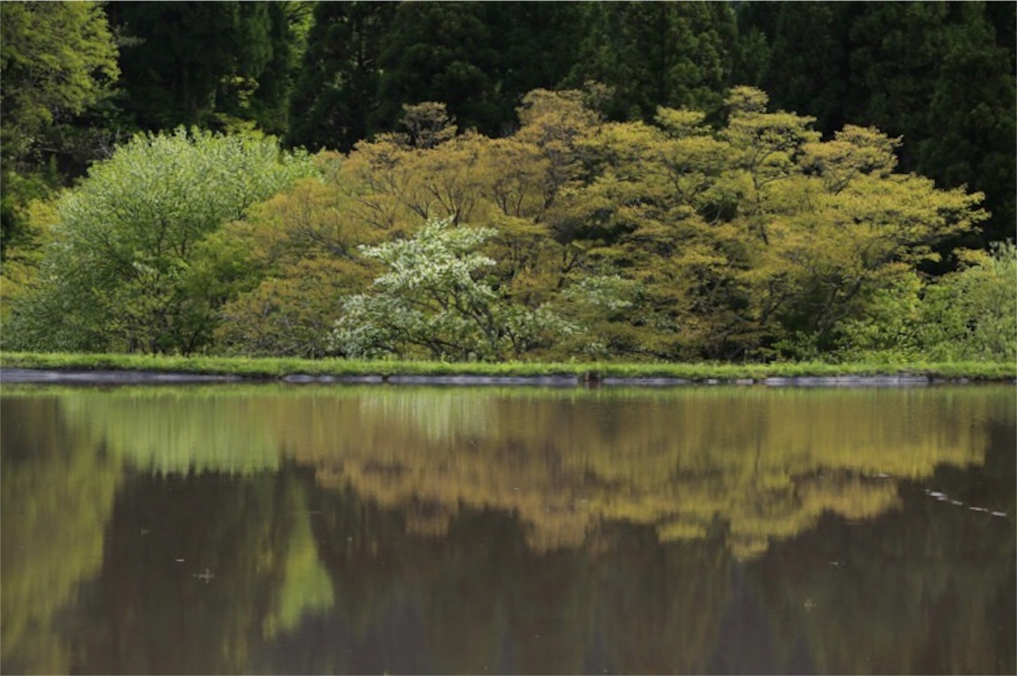 f:id:Jiroviolet:20180427190655j:image