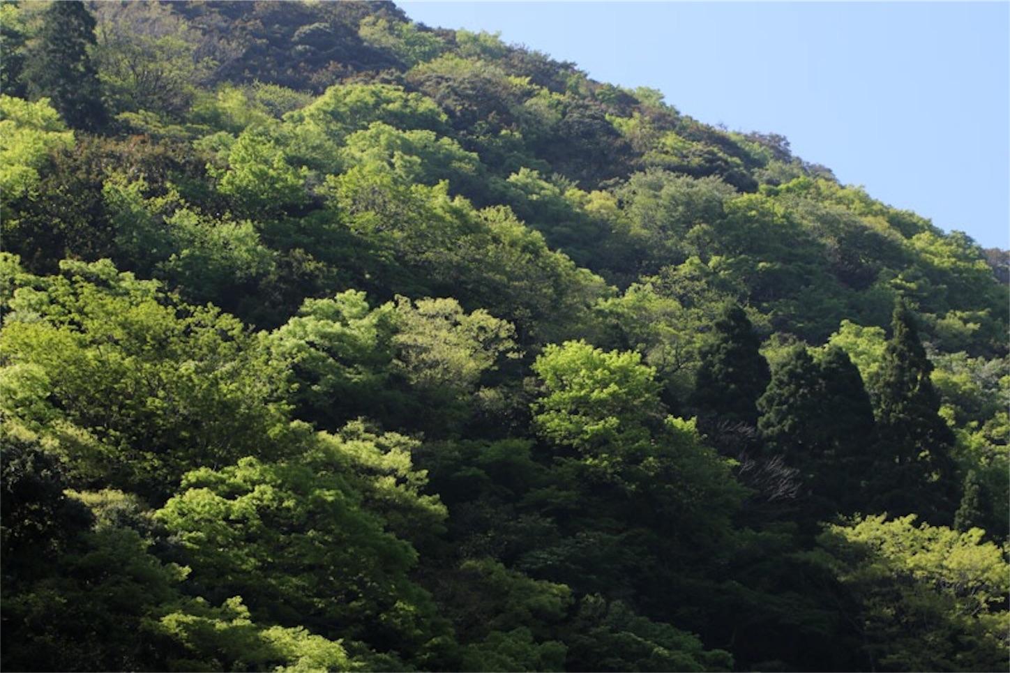 f:id:Jiroviolet:20180502201028j:image