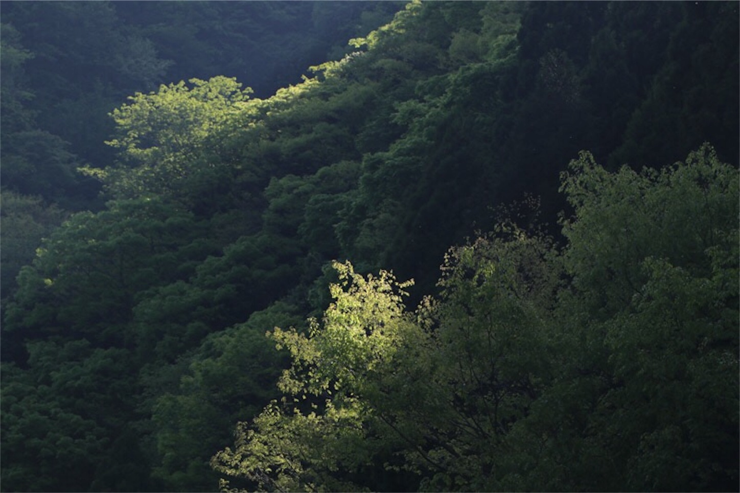 f:id:Jiroviolet:20180502201227j:image