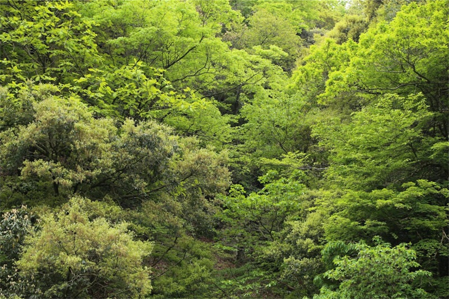 f:id:Jiroviolet:20180503111040j:image f:id:Jiroviolet:20180503111040j:image