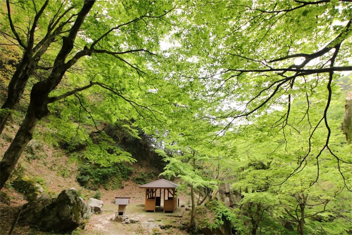 f:id:Jiroviolet:20180503111153j:image f:id:Jiroviolet:20180503111153j:image