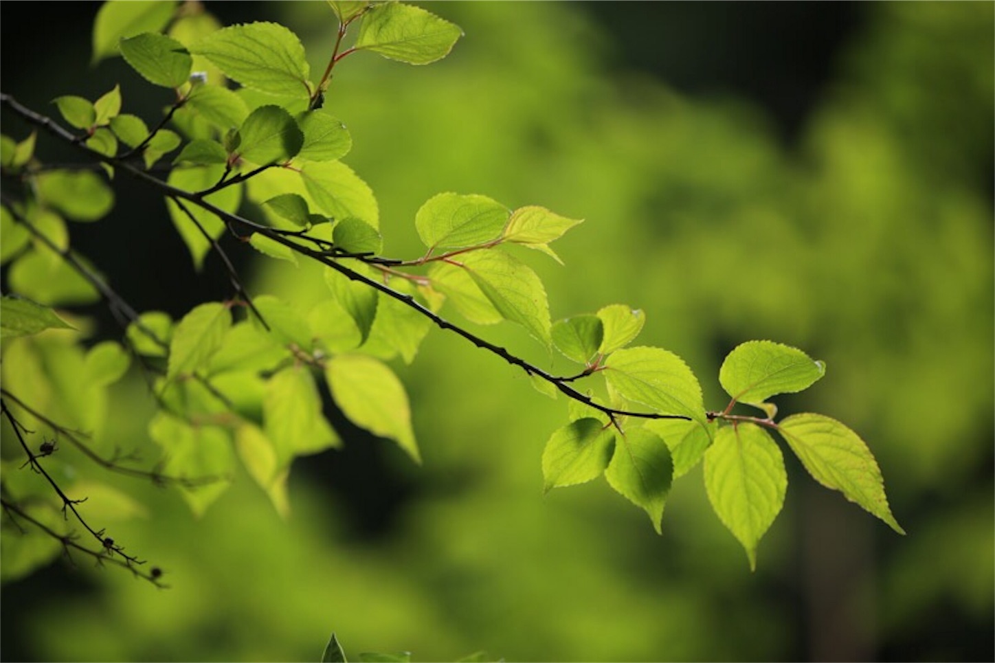 f:id:Jiroviolet:20180505201320j:image f:id:Jiroviolet:20180505201320j:image