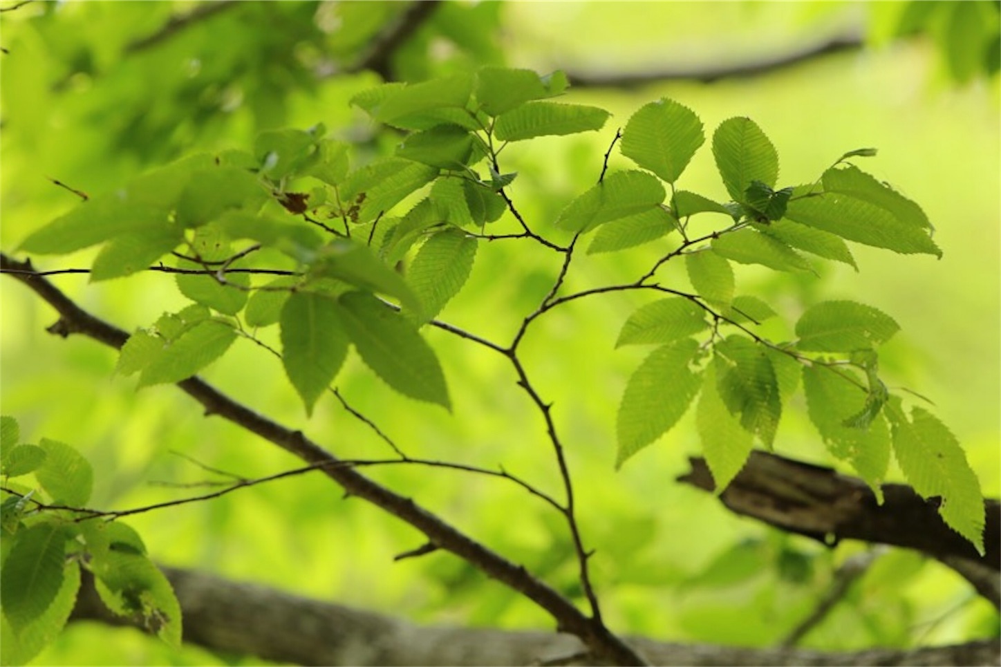 f:id:Jiroviolet:20180505201541j:image f:id:Jiroviolet:20180505201541j:image