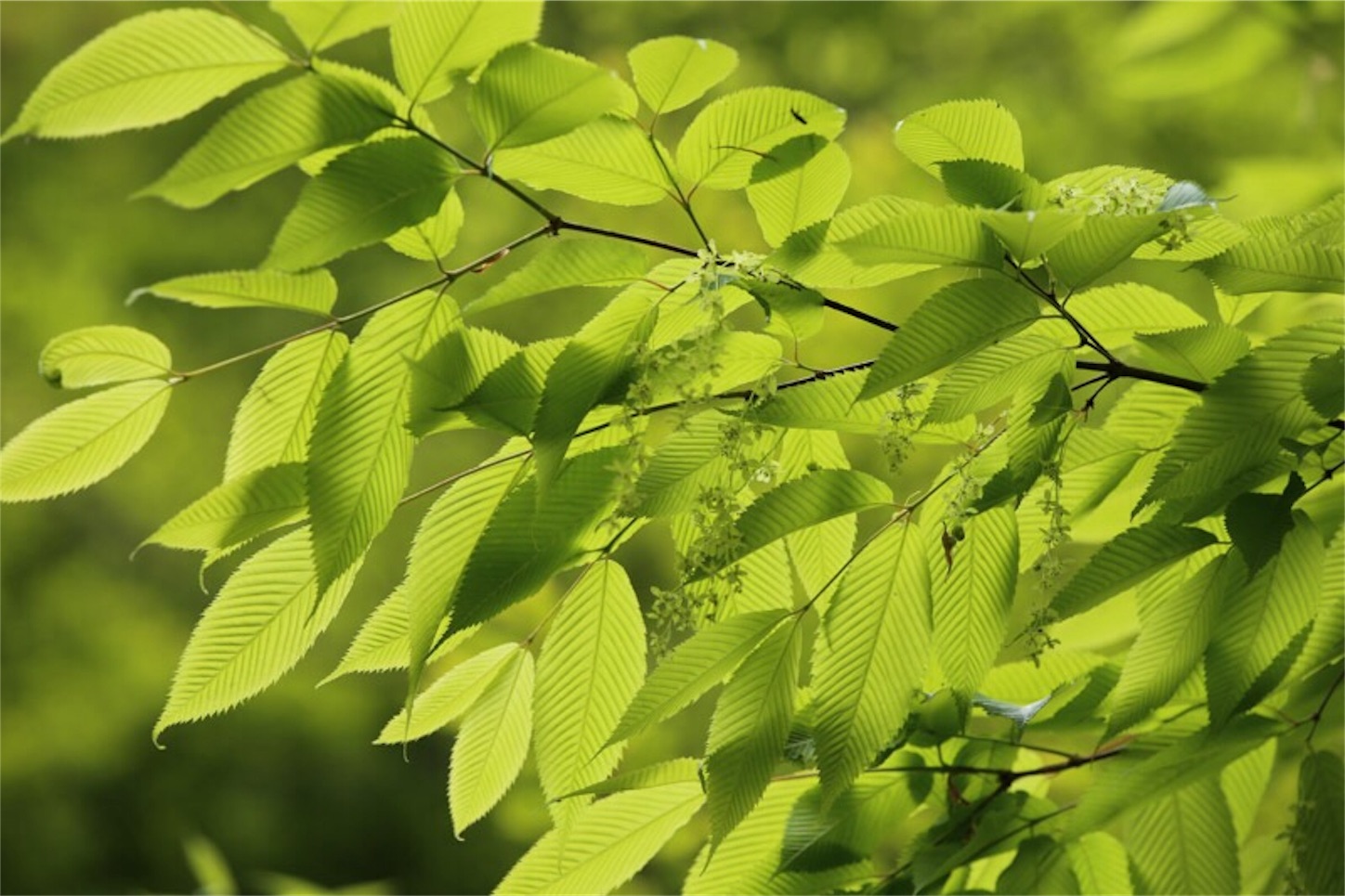 f:id:Jiroviolet:20180505202639j:image f:id:Jiroviolet:20180505202639j:image