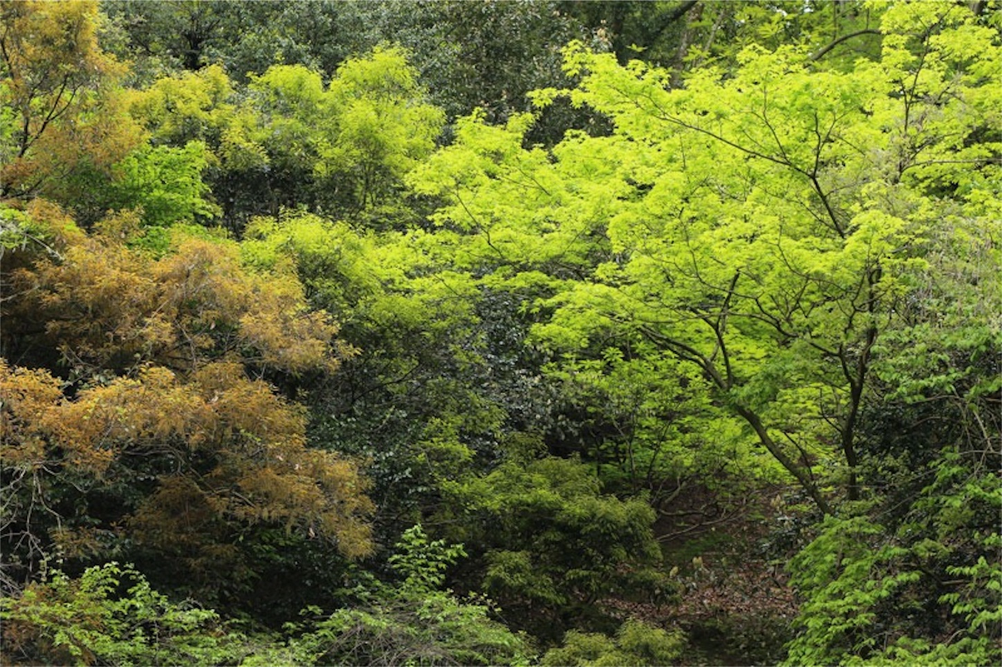 f:id:Jiroviolet:20180505221008j:image f:id:Jiroviolet:20180505221008j:image