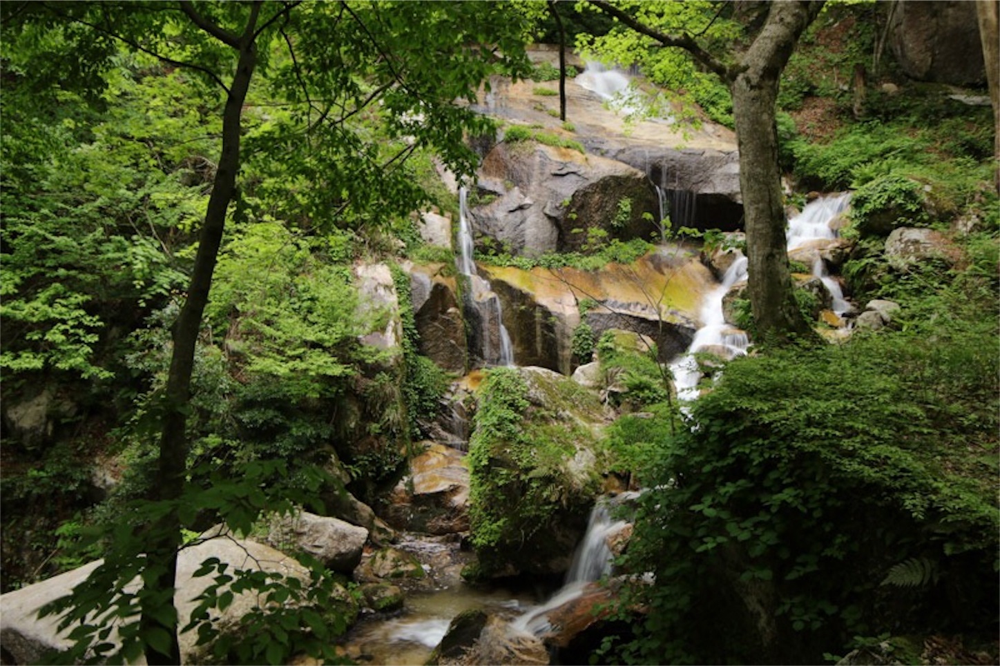 f:id:Jiroviolet:20180507214625j:image f:id:Jiroviolet:20180507214625j:image