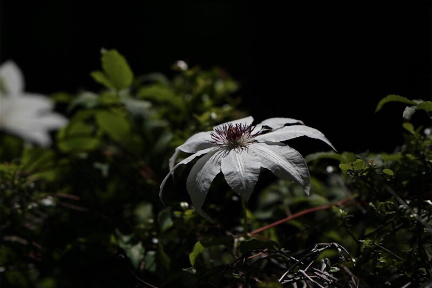 f:id:Jiroviolet:20180524205736j:image