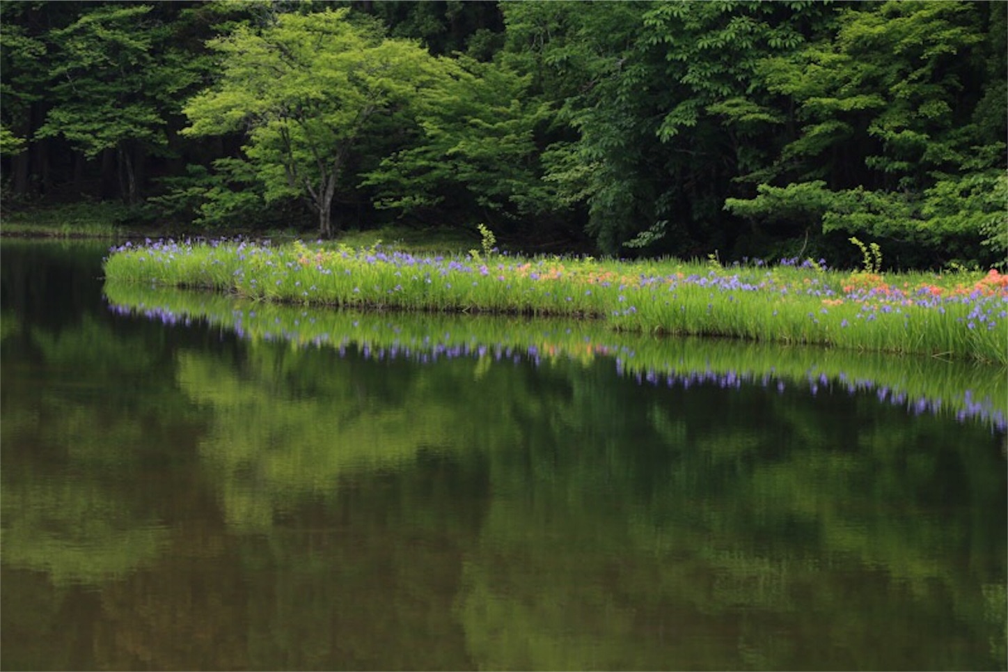 f:id:Jiroviolet:20180529121304j:image
