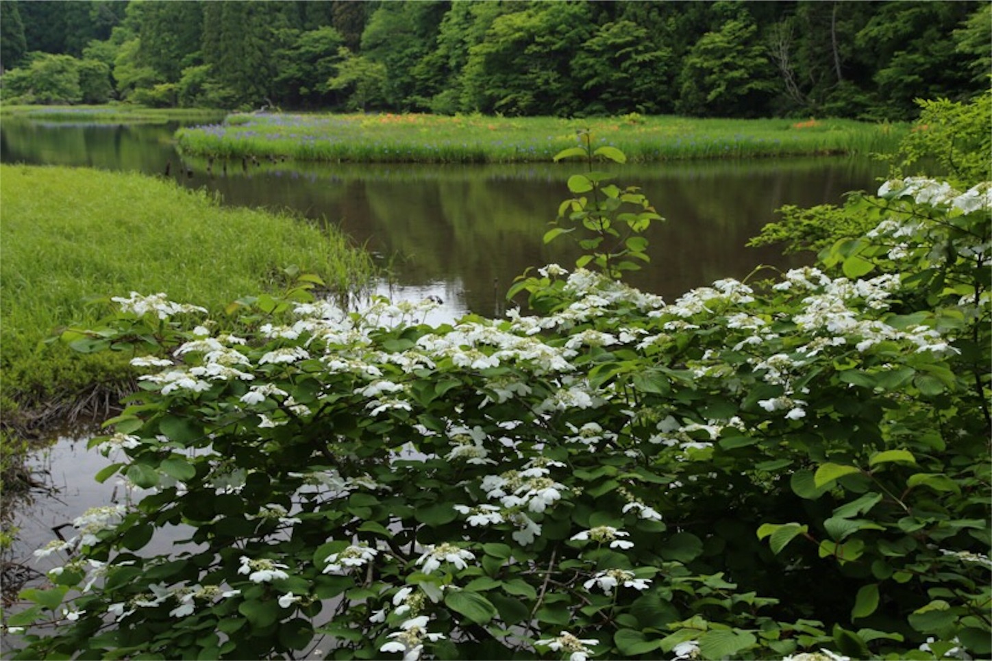 f:id:Jiroviolet:20180529203647j:image