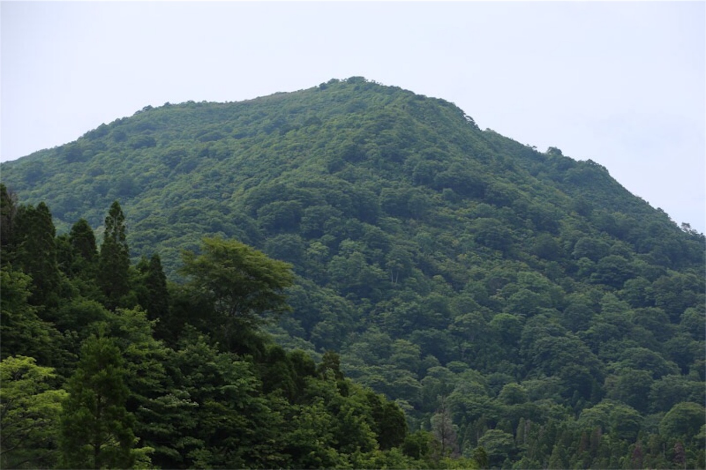 f:id:Jiroviolet:20180617203706j:image