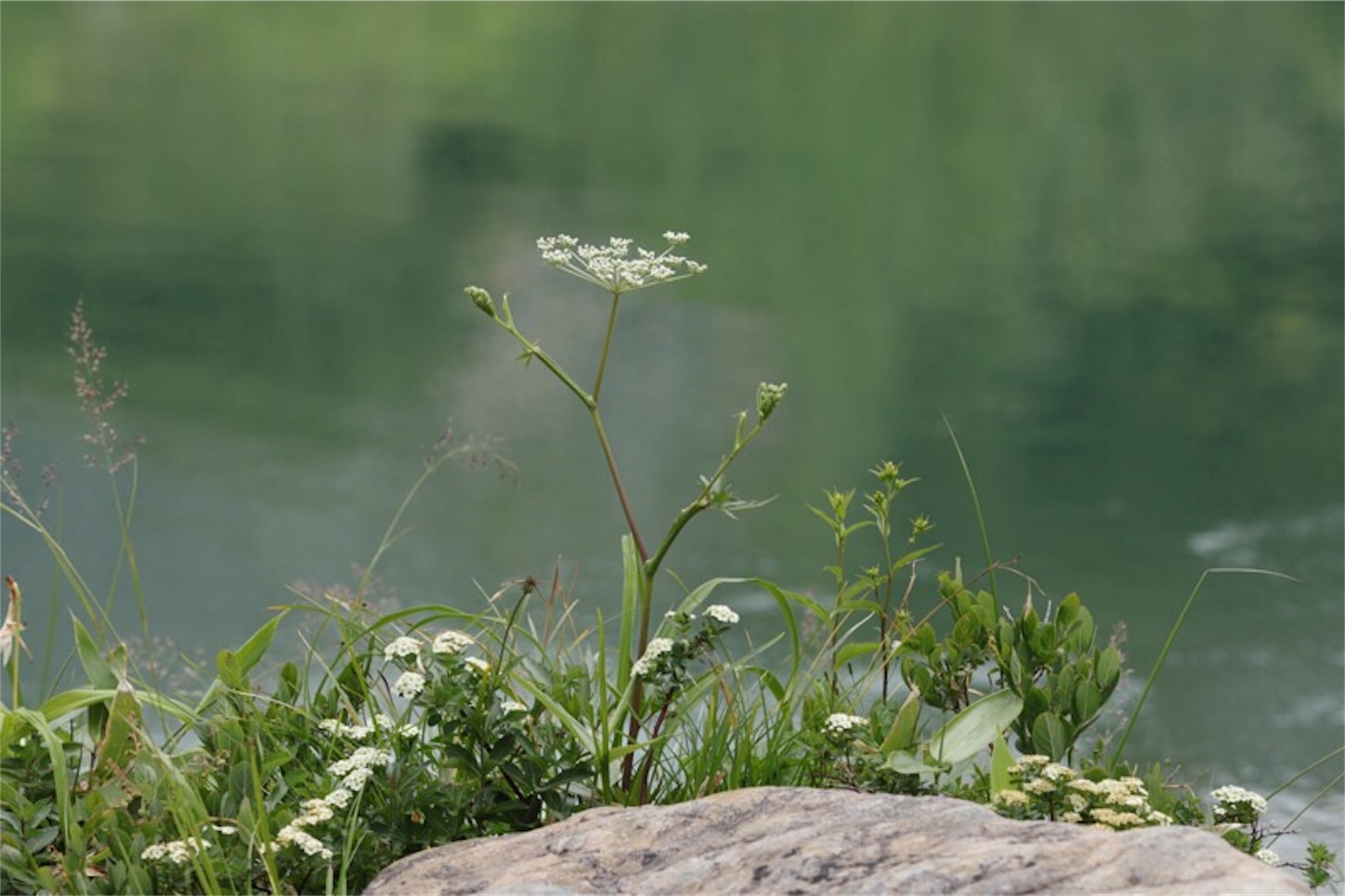 f:id:Jiroviolet:20180725202420j:image