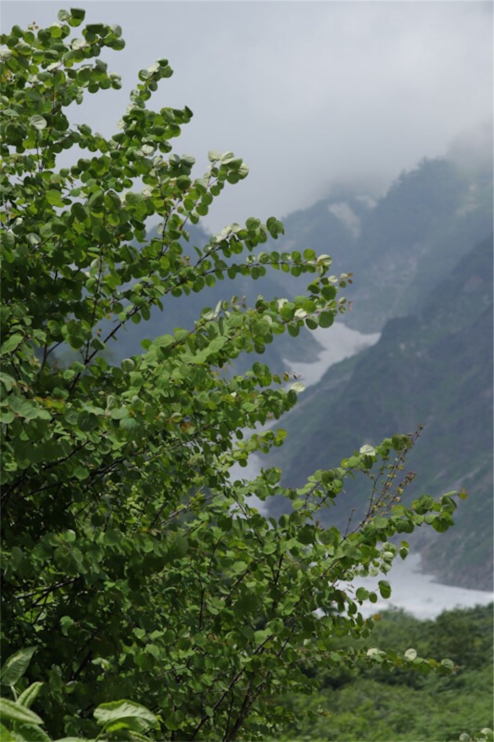 f:id:Jiroviolet:20180726224624j:image