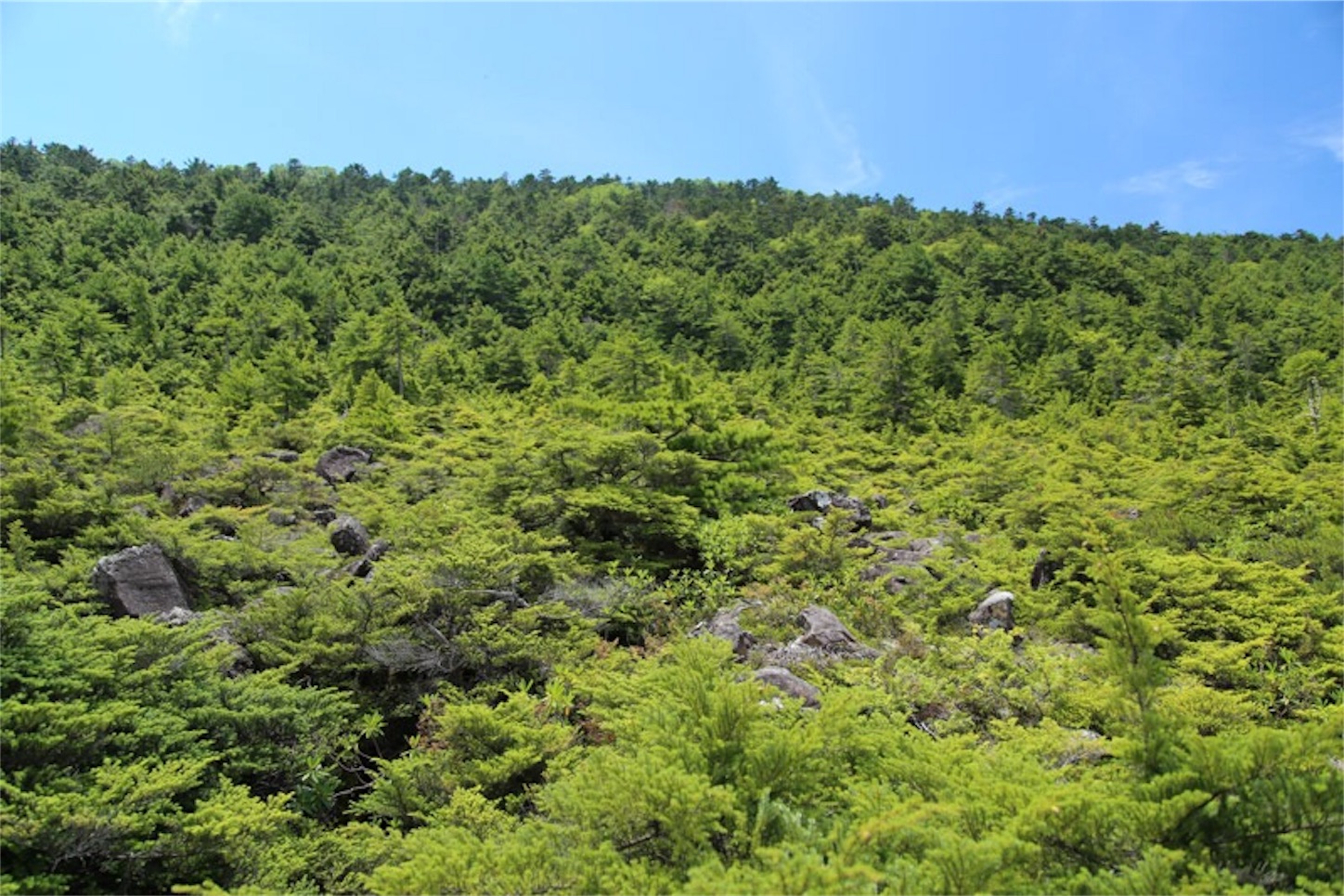 f:id:Jiroviolet:20180803223906j:image
