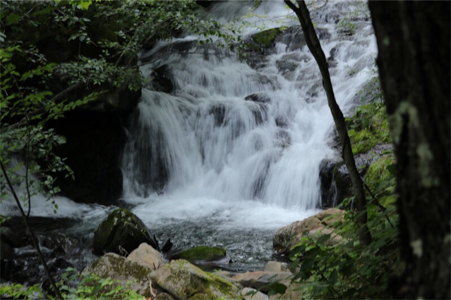 f:id:Jiroviolet:20180806152430j:image