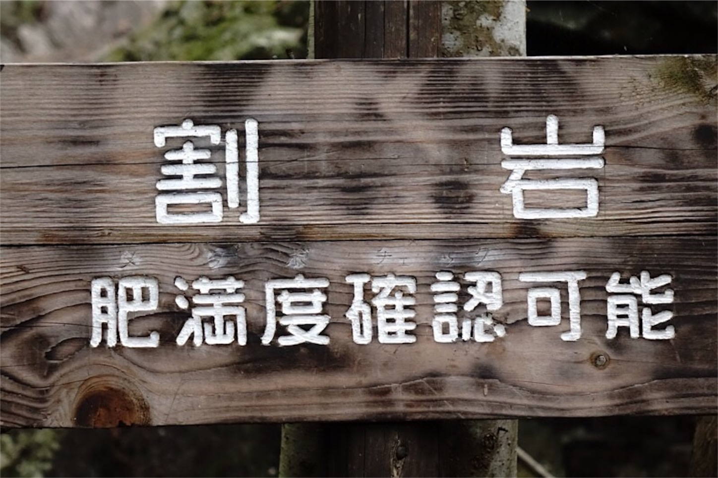 f:id:Jiroviolet:20181106172909j:image
